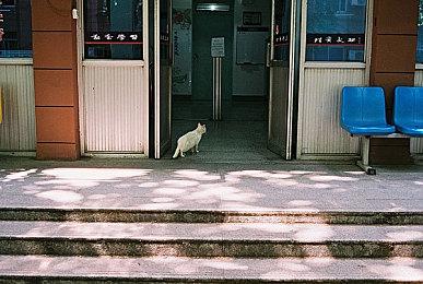 军事模拟游戏《UBOAT》正式发布 推出全新支持者包DLC